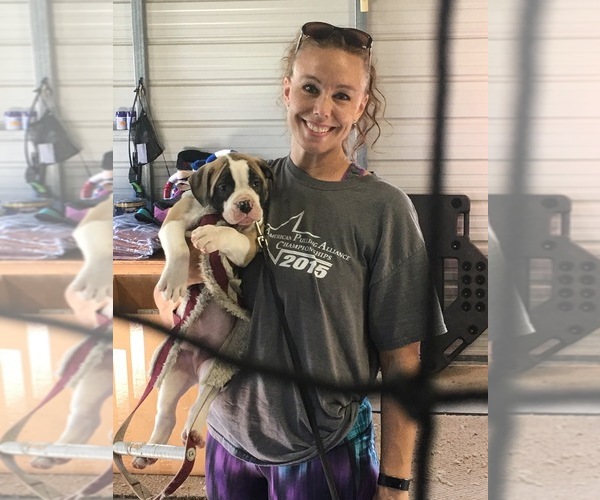 Medium Photo #1  Breeder Profile in MILLS RIVER, NC, USA