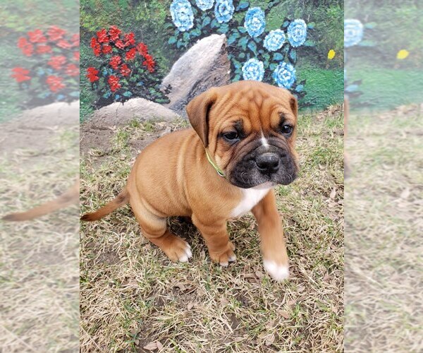 Medium Photo #1  Breeder Profile in FORSYTH, MT, USA