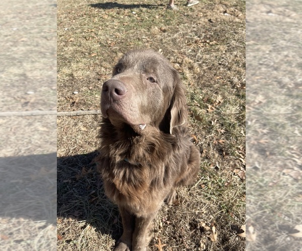 Medium Photo #3  Breeder Profile in MARTINSBURG, WV, USA