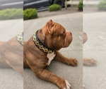 Small #8 Breeder Profile image