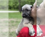 Small #34 Breeder Profile image