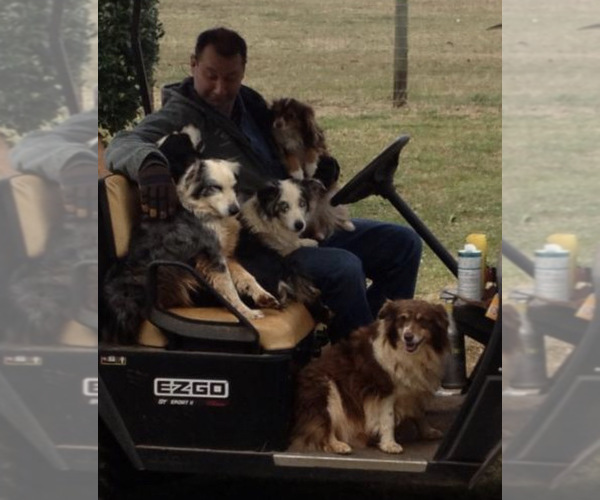 Medium Photo #8  Breeder Profile in GREENVILLE, GA, USA