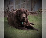Small #6 Breeder Profile image