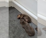 Small #13 Breeder Profile image