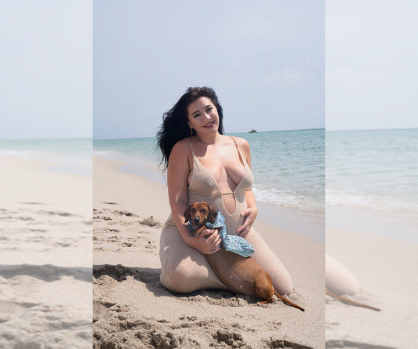 Medium Photo #1  Breeder Profile in FORT LAUDERDALE, FL, USA