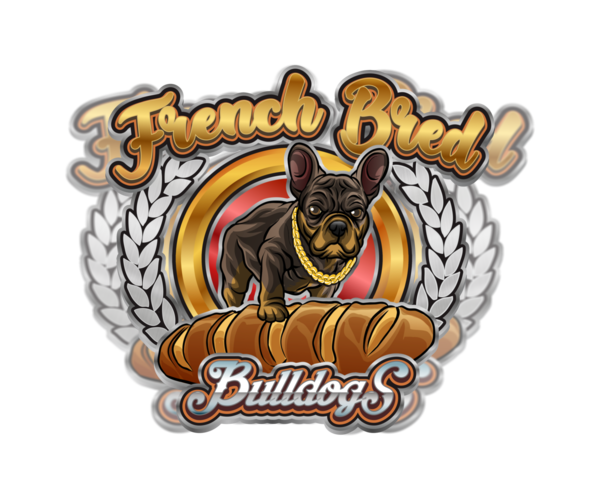 Medium Photo #1  Breeder Profile in MIRAMAR, FL, USA