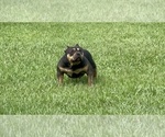 Small #16 Breeder Profile image