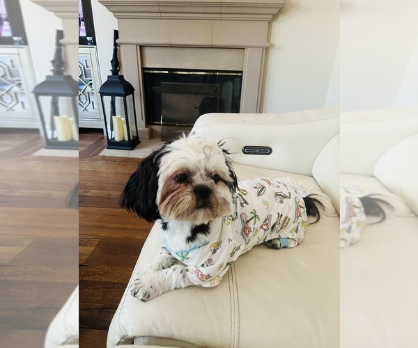 Medium Photo #1  Breeder Profile in CORONA, CA, USA