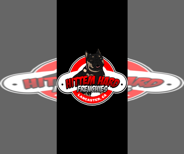 Medium Photo #1  Breeder Profile in LANCASTER, CA, USA
