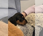 Small #6 Breeder Profile image