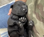 Small #3 Breeder Profile image
