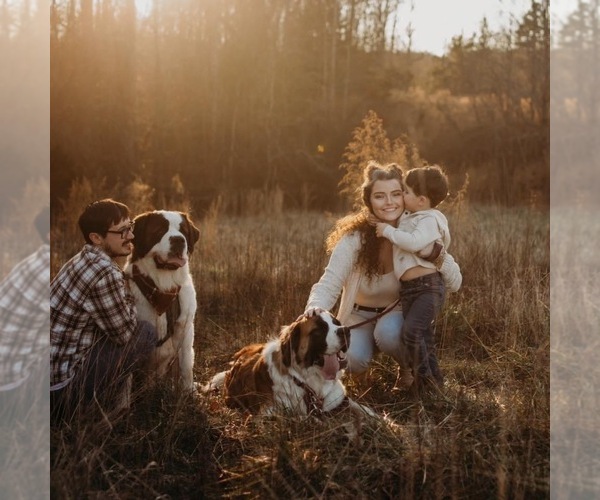 Medium Photo #1  Breeder Profile in GRANITE FALLS, NC, USA
