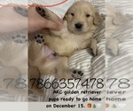 Small breeder photo