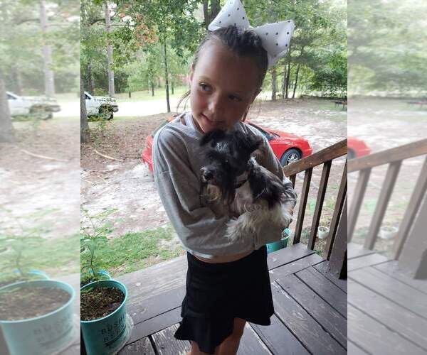 Medium Photo #6  Breeder Profile in FAYETTEVILLE, NC, USA