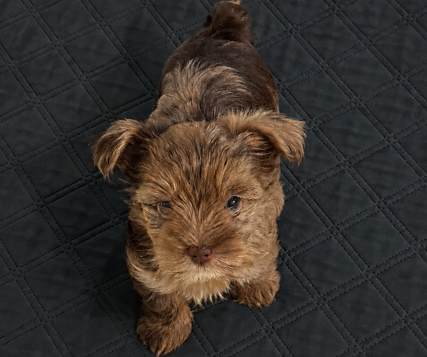 Medium Photo #9  Breeder Profile in DAYTON, TX, USA