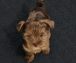 Small #8 Breeder Profile image