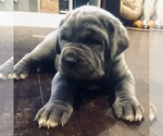 Small #8 Breeder Profile image
