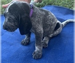 Small #10 Breeder Profile image