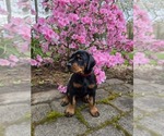 Small #27 Breeder Profile image