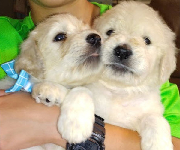 Medium Photo #12  Breeder Profile in ATHENS, TN, USA