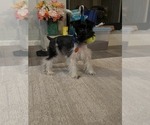 Small #10 Breeder Profile image