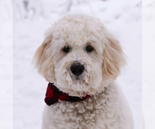 Medium Photo #1  Breeder Profile in HANSKA, MN, USA