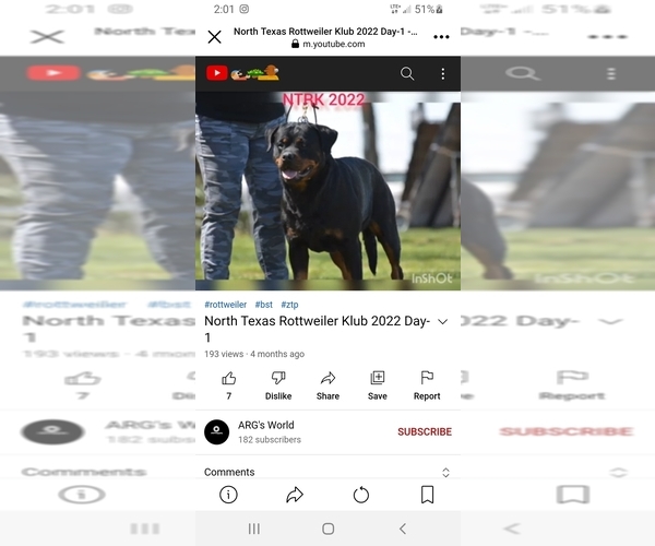 Medium Photo #1  Breeder Profile in TEMPLE, TX, USA