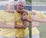 Small #54 Breeder Profile image