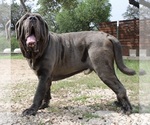 Small #27 Breeder Profile image