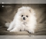 Small #9 Breeder Profile image