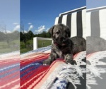 Small #3 Breeder Profile image