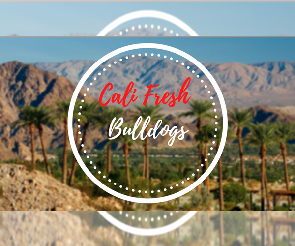Medium Photo #1  Breeder Profile in PALM SPRINGS, CA, USA