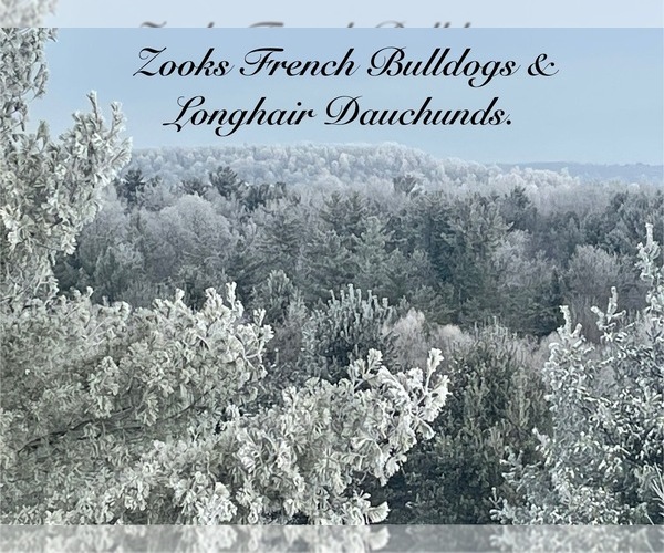 Medium Photo #11  Breeder Profile in FORT PLAIN, NY, USA