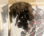 Small #5 Breeder Profile image