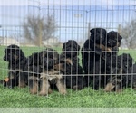 Small #3 Breeder Profile image