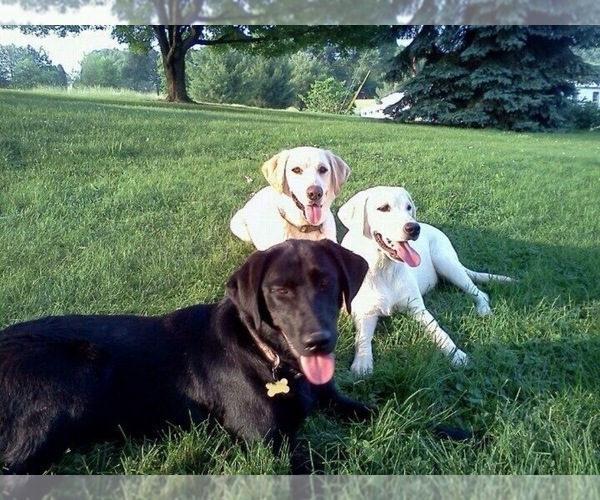 Medium Photo #11  Breeder Profile in AIKEN, SC, USA