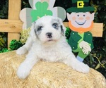 Small #7 Breeder Profile image