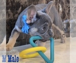 Small #3 Breeder Profile image