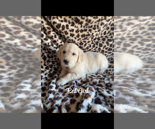 Medium Photo #17  Breeder Profile in PRITCHETT, CO, USA