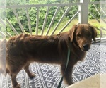 Small #13 Breeder Profile image