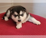 Small #2 Breeder Profile image
