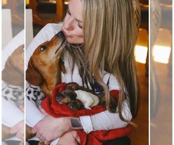 Medium Photo #11  Breeder Profile in STEAMBOAT SPRINGS, CO, USA