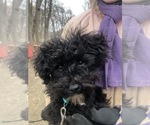 Small #17 Breeder Profile image