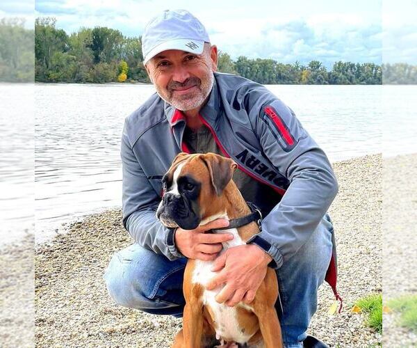 Medium Photo #1  Breeder Profile in Budapest, Budapest, Hungary