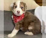 Small #10 Breeder Profile image