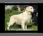 Small breeder photo