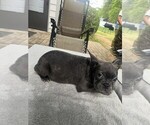 Small #23 Breeder Profile image