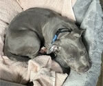 Small #10 Breeder Profile image