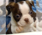 Small #3 Breeder Profile image