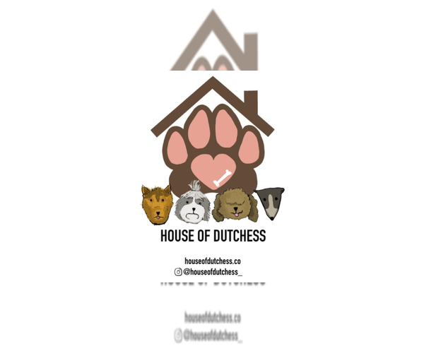 Medium Photo #1  Breeder Profile in SOUTH ORANGE, NJ, USA